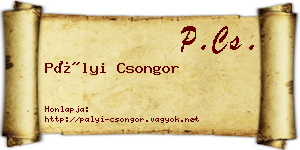 Pályi Csongor névjegykártya